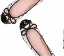 Last inn bildet i Galleri-visningsprogrammet, PRETTY BALLERINAS 237-2
