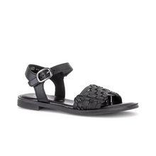 Last inn bildet i Galleri-visningsprogrammet, Gabor 50023-1
