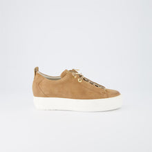 Last inn bildet i Galleri-visningsprogrammet, Paul Green 6370-2
