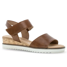 Last inn bildet i Galleri-visningsprogrammet, Gabor 40471-1
