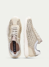 Last inn bildet i Galleri-visningsprogrammet, Hispanitas 13561-3
