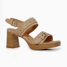 Last inn bildet i Galleri-visningsprogrammet, MJUS 9315-2
