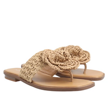 Last inn bildet i Galleri-visningsprogrammet, Noa Harmon 5342-2
