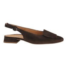 Last inn bildet i Galleri-visningsprogrammet, Paul Green 6545-2
