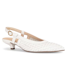 Last inn bildet i Galleri-visningsprogrammet, Gabor 9447-2
