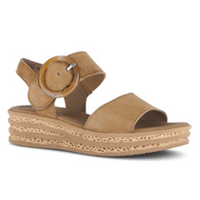 Last inn bildet i Galleri-visningsprogrammet, Gabor 50057-1
