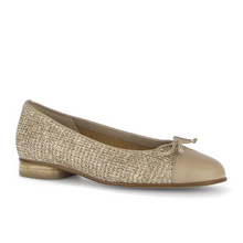 Last inn bildet i Galleri-visningsprogrammet, Gabor 3220-2
