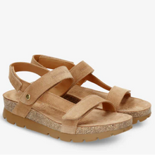 Last inn bildet i Galleri-visningsprogrammet, PANAMA JACK 50020-1
