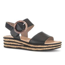 Last inn bildet i Galleri-visningsprogrammet, Gabor 50084-1
