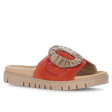 Last inn bildet i Galleri-visningsprogrammet, Gabor 25647-3
