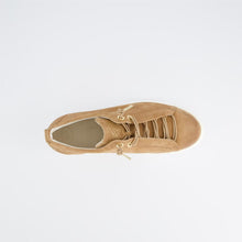 Last inn bildet i Galleri-visningsprogrammet, Paul Green 6370-2
