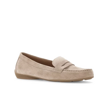 Last inn bildet i Galleri-visningsprogrammet, Gabor 8970-2
