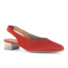 Last inn bildet i Galleri-visningsprogrammet, GABOR 5570-2
