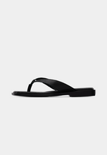 Last inn bildet i Galleri-visningsprogrammet, Pavement 2644-2
