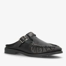 Last inn bildet i Galleri-visningsprogrammet, PHENUMB 9853-2
