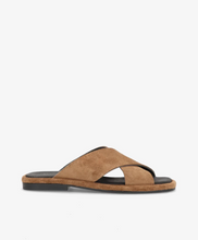 Last inn bildet i Galleri-visningsprogrammet, PHENUMB 4437-2
