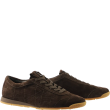 Last inn bildet i Galleri-visningsprogrammet, Høgl Hassia 5041-2
