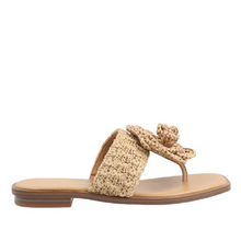 Last inn bildet i Galleri-visningsprogrammet, Noa Harmon 5342-2
