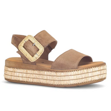 Last inn bildet i Galleri-visningsprogrammet, Gabor 6460-2
