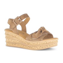 Last inn bildet i Galleri-visningsprogrammet, Gabor 50059-1
