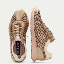 Last inn bildet i Galleri-visningsprogrammet, Hispanitas 9400-2
